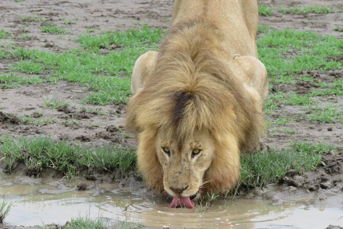 12 Days Wildlife Safaris And Culture Tour - Introduction