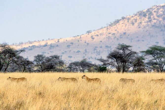 12 Days Wildlife Safaris And Culture Tour - Final Thoughts