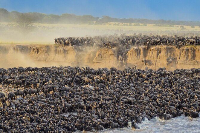 12 Days Wildlife Safaris And Culture Tour - FAQ