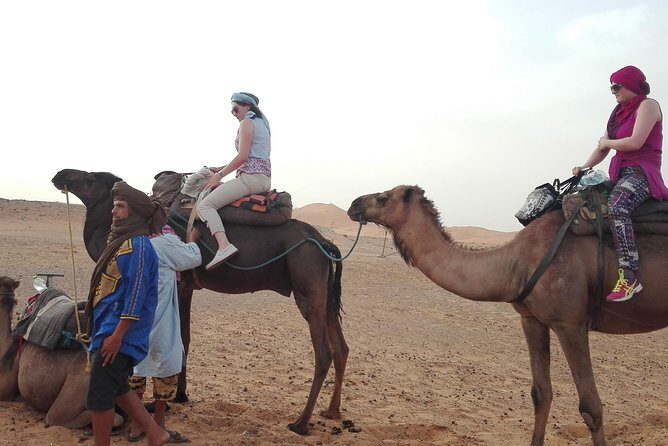 12 Nights Best Tour of Morocco - An Overview of the Experience