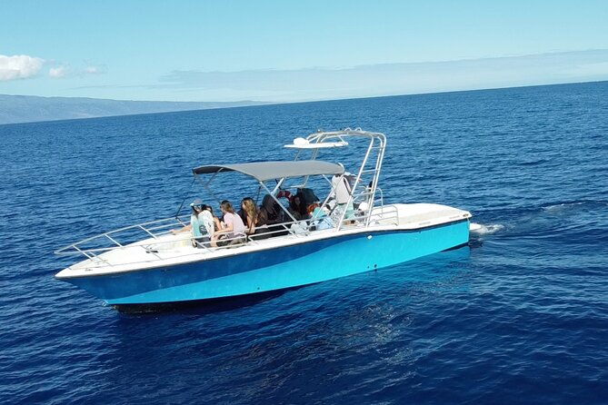 12-passenger-kaanapali-beach-whale-watch-tour-onboard-whale-mic