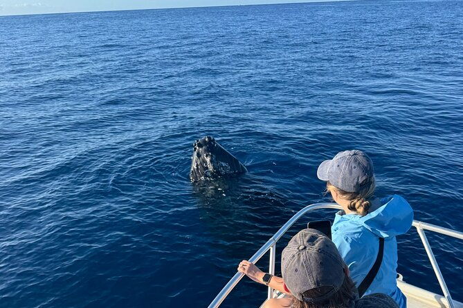 12-passenger-kaanapali-beach-whale-watch-tour-onboard-whale-mic