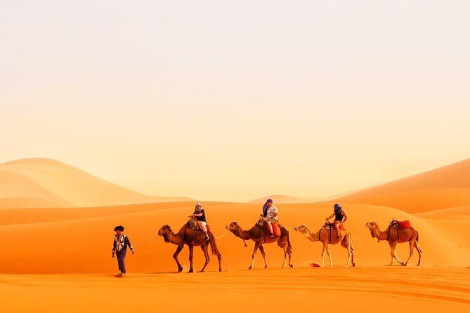 12D 11N Private Morocco Tour From Casablanca By Imperial Cities - Key Points