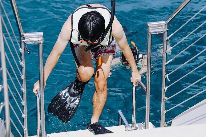 12pm Turtle Canyon Snorkel Adventure - The Itinerary Breakdown: What to Expect