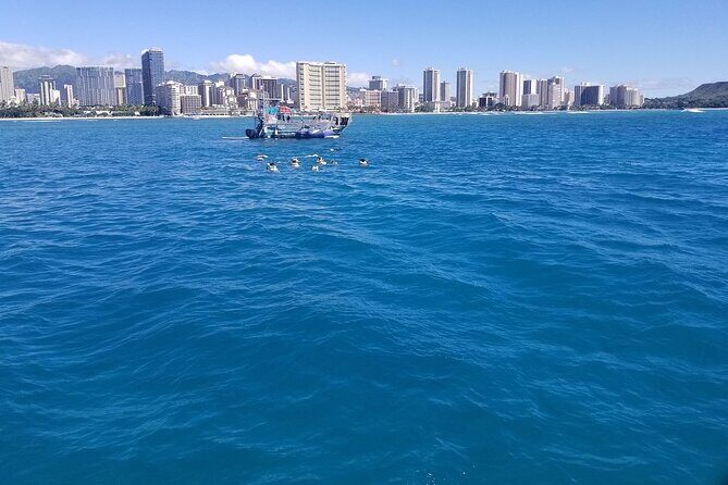 12pm Turtle Canyon Snorkel Adventure - The Sum Up