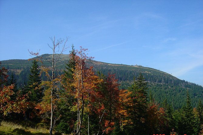 13-day-highlights-of-poland-tour-private-for-2-10-persons