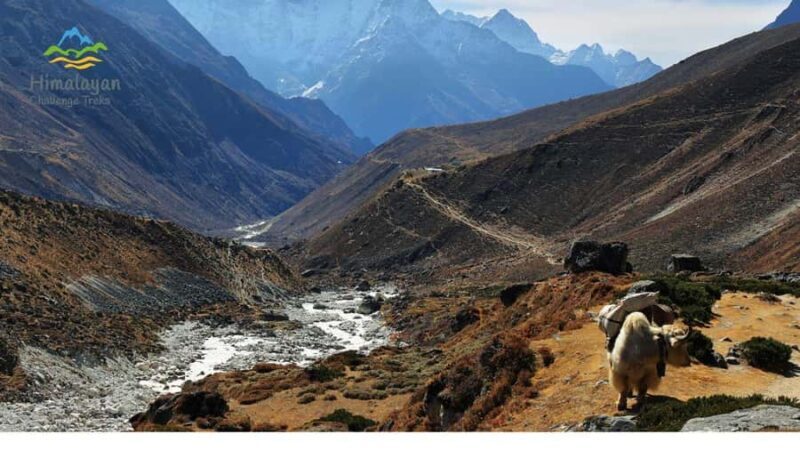 13-Day Langtang to Gosaikunda Lakes, Legends & High Trails - Key Points