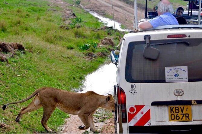 13-Day Private Wildlife Safari Tour of Kenya and Tanzania - Final Thoughts  