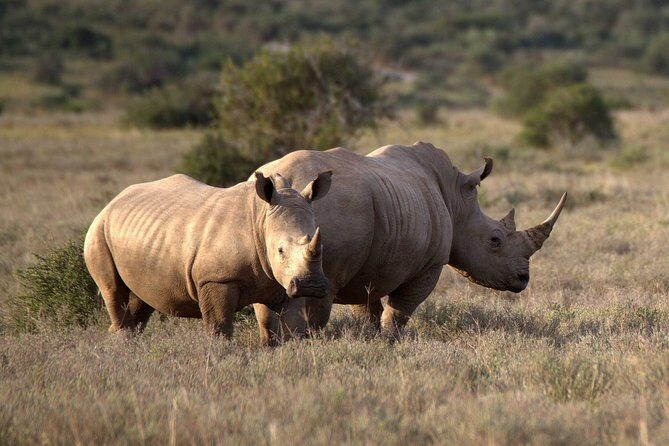 13 Day Safari - Cape Town to Johannesburg - Key Points