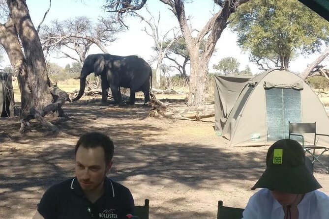 13 Day WILDERNESS TRAIL: Best Of Northern Botswana -WildCamping + Victoria Falls - Day 12-13: Victoria Falls & Departure
