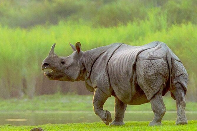 13 Days and 12 Nights Tour to Assam Meghalaya Arunachal Pradesh - Final Thoughts