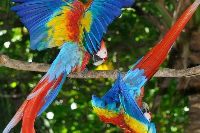 13-days-jungle-and-beach-in-costa-rica
