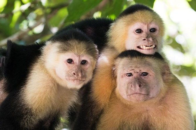 13-days-program-best-spots-of-costa-rica