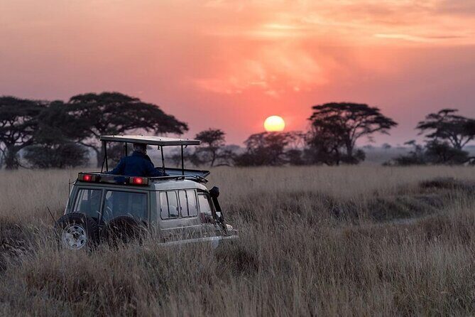 13 Days Wildlife Adventure Trip To The Pearl Of Africa - FAQ  