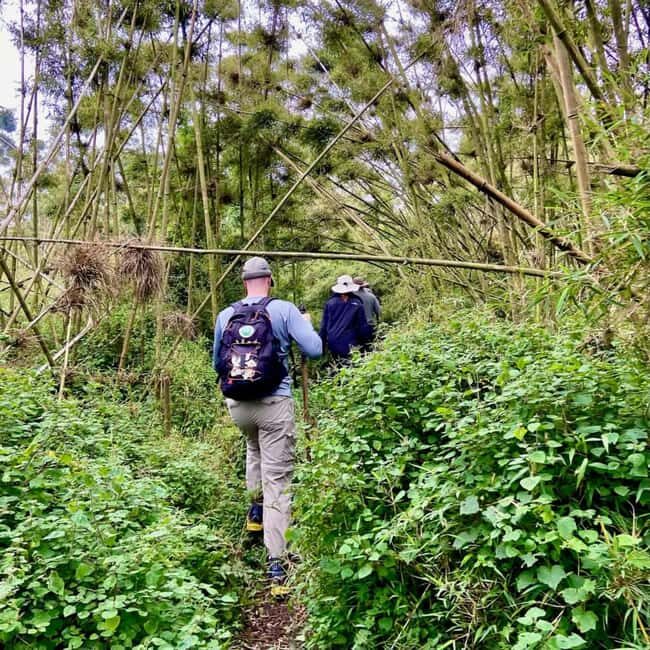 13-Days wildlife safari in Rwanda - Final Thoughts: Why Choose This Safari?