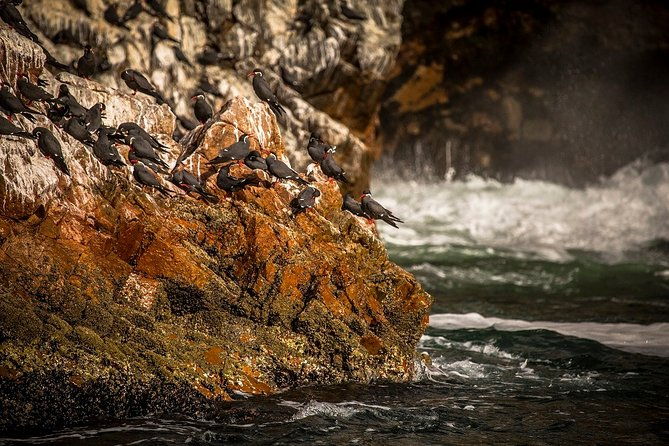 13-days-wonderful-peruvian-south-from-lima