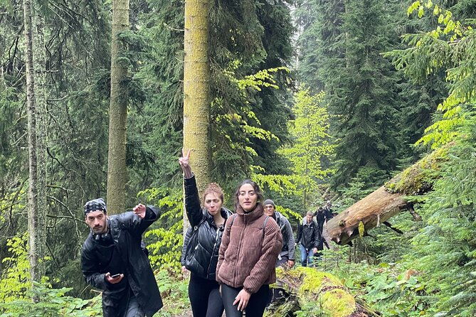 13-km-hike-in-borjomi-group-tour-from-kutaisi