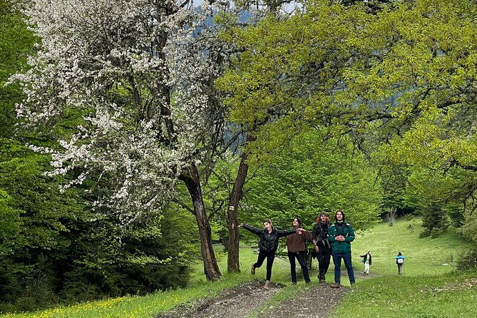13-km-hike-in-borjomi-group-tour-from-kutaisi
