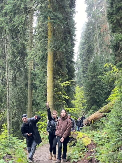 13 km hiking tour from Kutaisi to Borjomi - An Authentic Day of Mountain Trails and Georgian Flavors