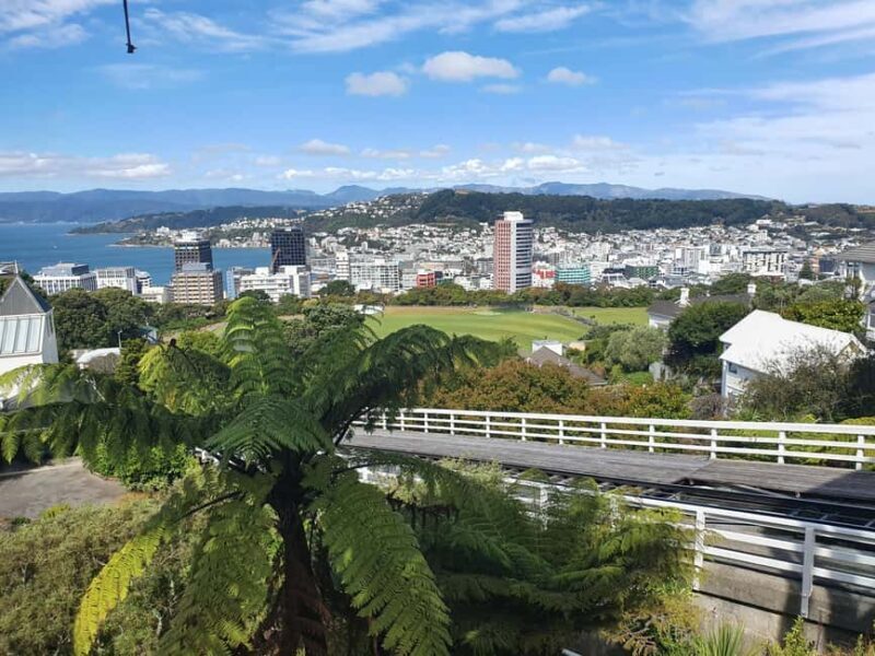 14 Day Northern Kiwi Small Group Tour - An In-Depth Look at the 14-Day Northern Kiwi Tour
