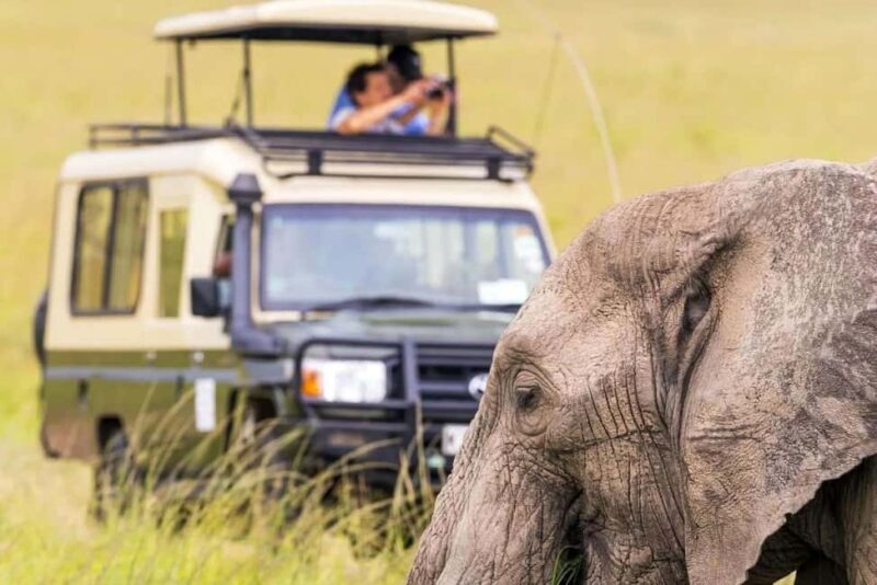 14-Day Uganda Adventure - The Itinerary Breakdown: What You Can Expect