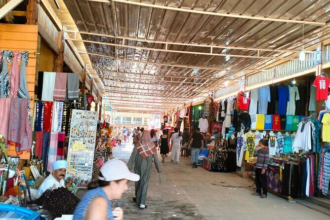 14 Days Egypt adventure Nile sahara desert bus tour - Discovering the Best of Egypt in 14 Days