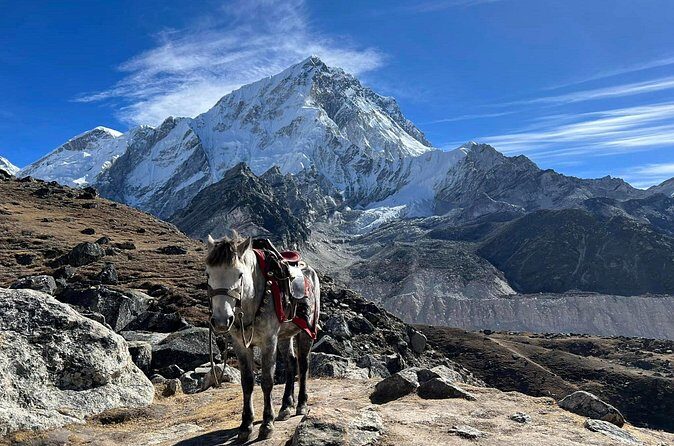 14 Days Everest Basecamp Trekking from Kathmandu - Frequently Asked Questions