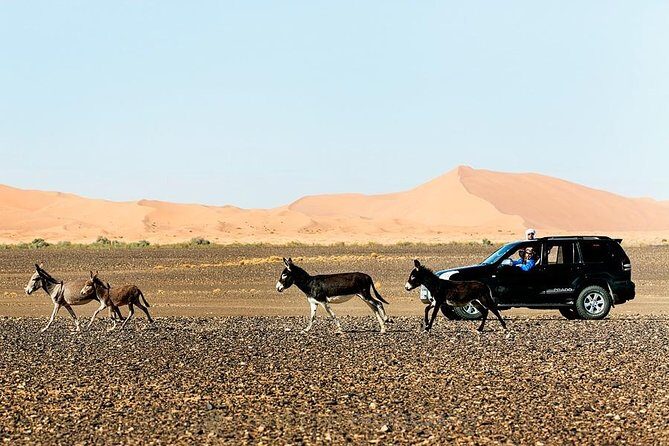 14 Days From Casablanca- Morocco Grand Tour - The Real Value of This Tour