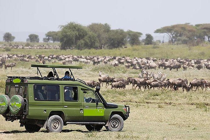 14-Days Kenya and Tanzania Camping Safari from Nairobi - Overview of the Tour Experience