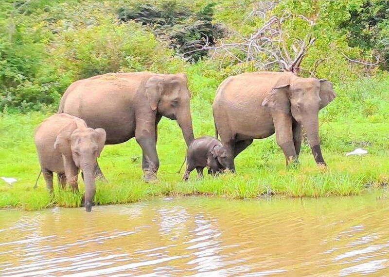 14-days-tour-package-sri-lanka