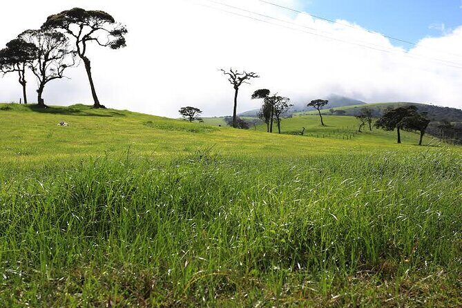 14 Days Travel in Sri Lanka with Accommodation - Frequently Asked Questions