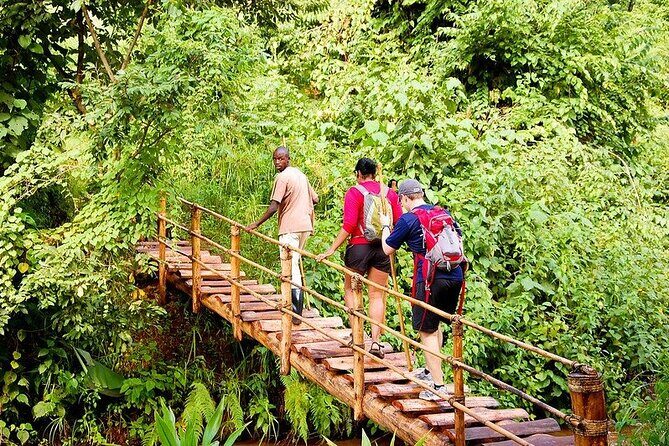 14 Days Uganda Rwanda Primate Tour - Discovering the Best of Uganda and Rwanda in 14 Days