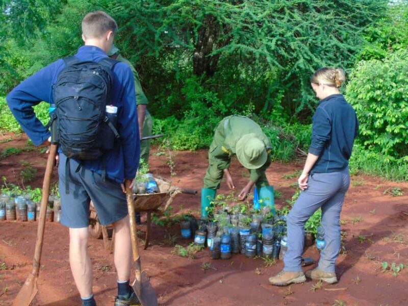 14Days Volunteer Community Wildlife Sanctuary - Key Points
