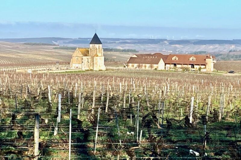15-burgundy-wines-chateau-pommard-chablis-small-group