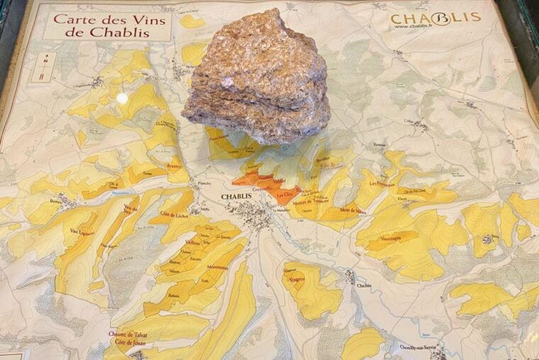 15-burgundy-wines-chateau-pommard-chablis-small-group