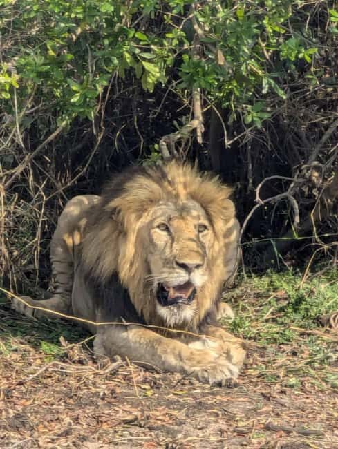 15-Day best of Rwanda Safari with Gorilla trek Experience. - Exploring Rwanda in 15 Days: A Well-Balanced Itinerary