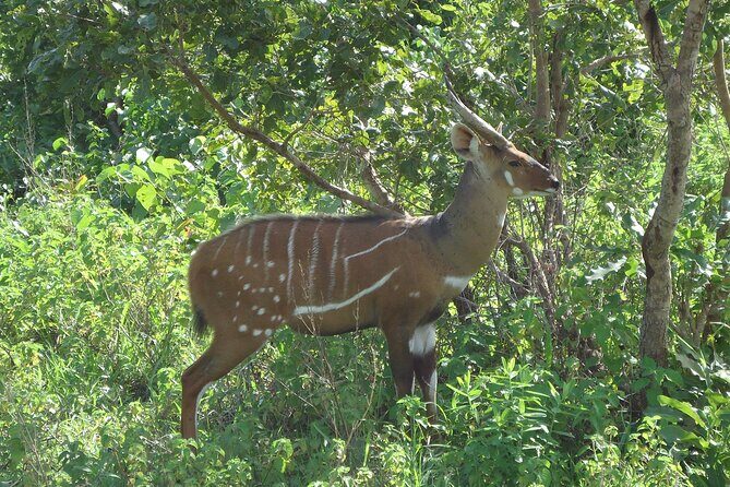 15-Day Ghana Wildlife Private Tour - Frequently Asked Questions