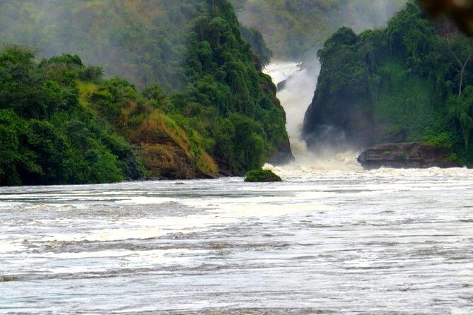 15 Day Gorillas, Chimps and Big 5 Safari Tour - Exploring the Itinerary in Detail
