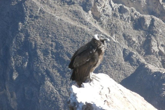 15-day-tour-of-peru-family-travel