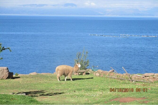 15-day-tour-of-peru-family-travel