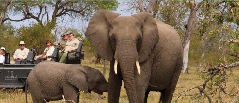 15 Day Tour of South Africa - Cape Town to Johannesburg - Key Points