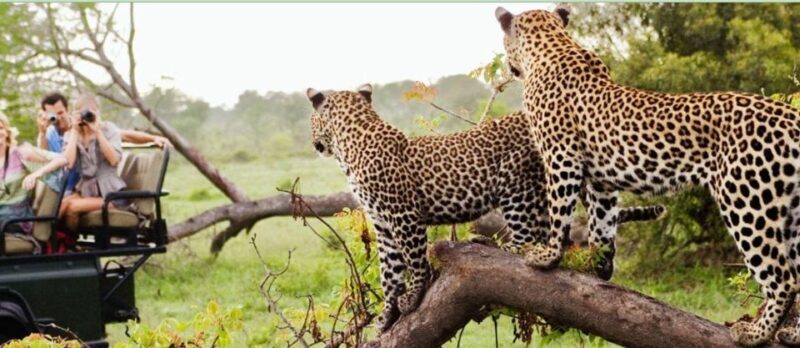 15 Day Tour of South Africa - Cape Town to Johannesburg - Authentic Experiences in Every Corner