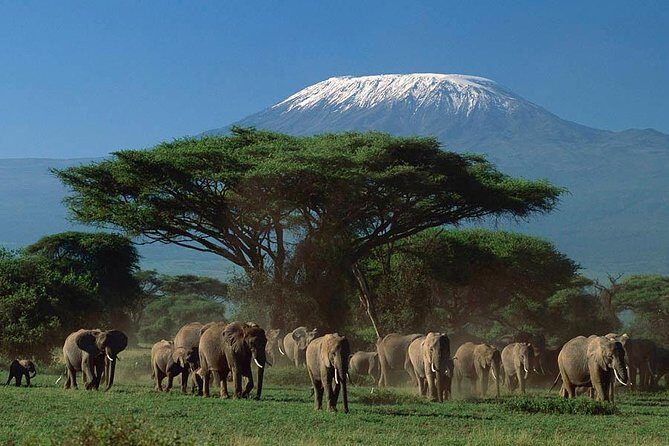 15 Days Classic Kenya & Tanzania + Zanzibar Beach Holiday - Key Points