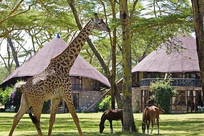 15 Days Classic Kenya & Tanzania + Zanzibar Beach Holiday - Final Thoughts