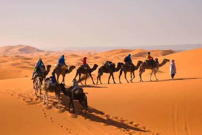 15 Days Morocco Private Grand Tour From North To South Starting From Casablanca - Final Thoughts  