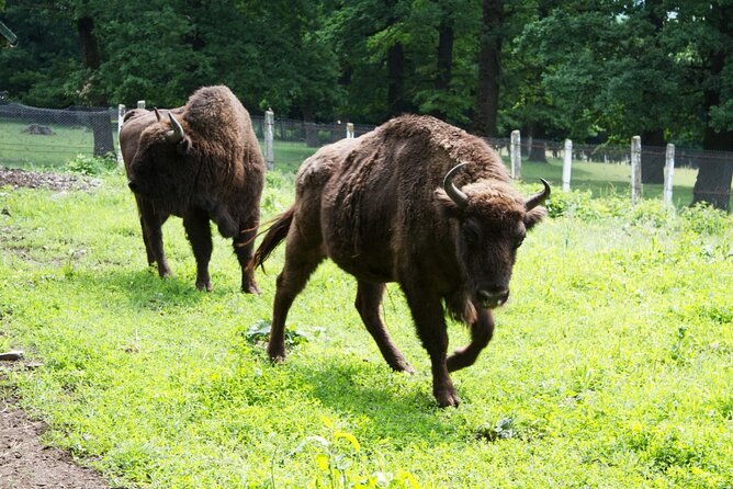 15-days-private-tour-in-romania-moldova-and-transnistria