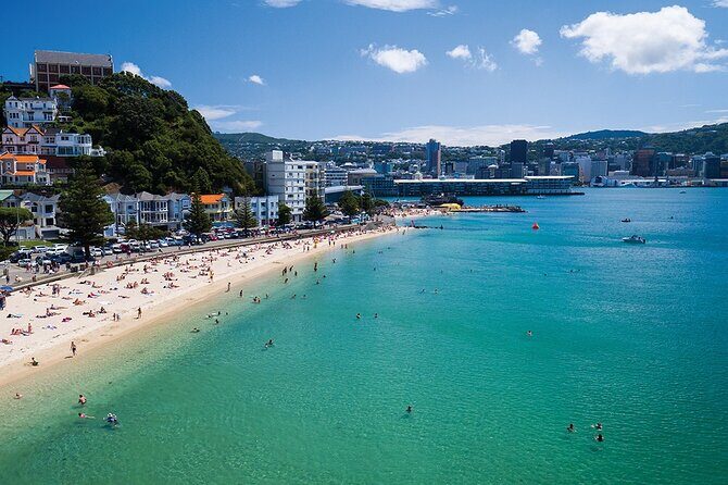15-Minute Wellington Harbour Helicopter Flight - The Experience: What to Expect from Start to Finish