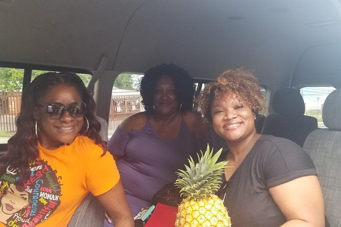 15-ocho-rios-highlite-private-sightseeing-shopping-half-day-guided-tours