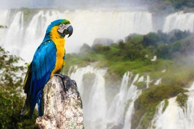 16-day-south-america-tour-argentina-uruguay-iguazu-falls-and-rio-de-janeiro