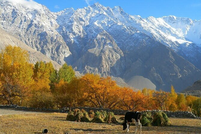 16 Days North Pakistan Autumn Tour Book Now 2025-26 - Introduction